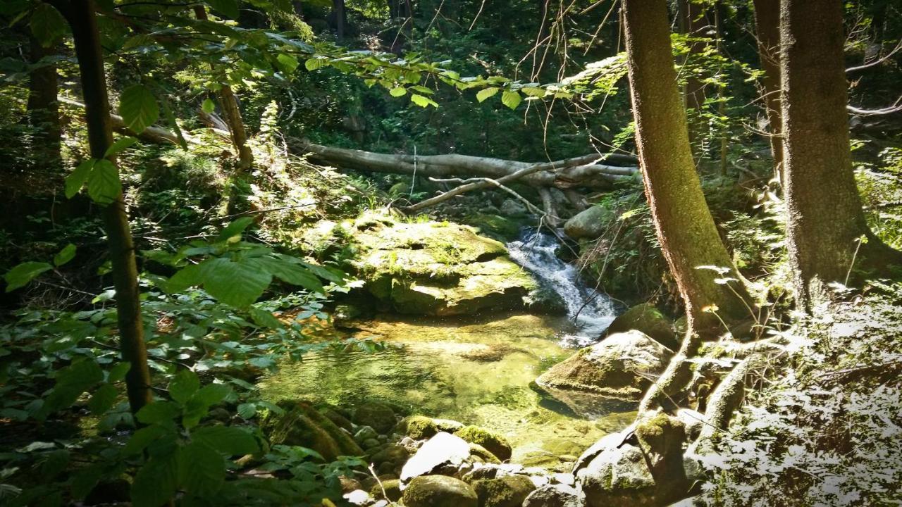Drewniana Roza Willa Karkonosze Piechowice  Esterno foto