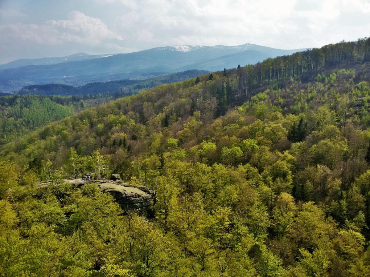 Drewniana Roza Willa Karkonosze Piechowice  Esterno foto