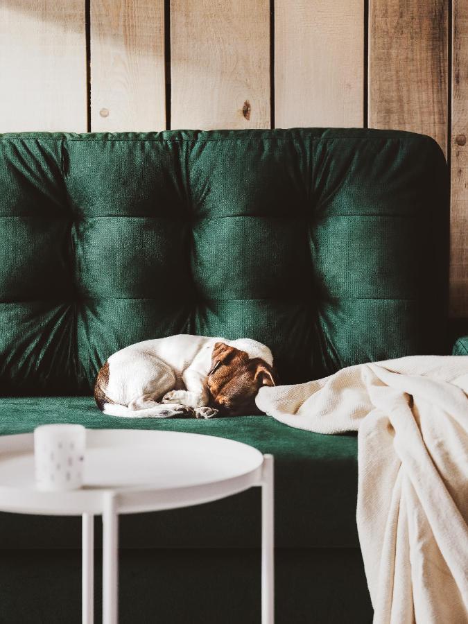 Drewniana Roza Willa Karkonosze Piechowice  Esterno foto